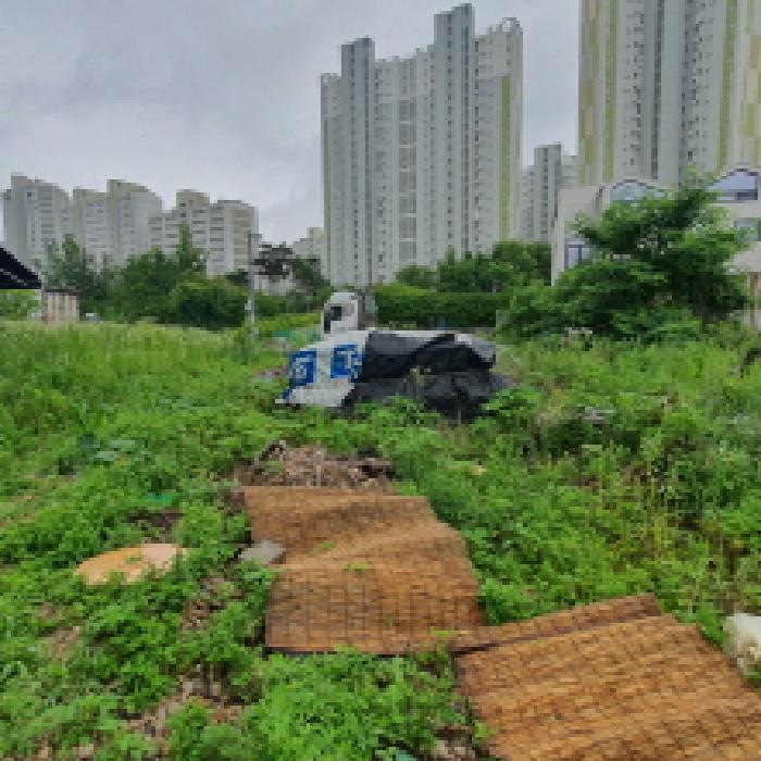 본건 토지를 토지 안쪽에서 도로쪽으로 바라본 모습