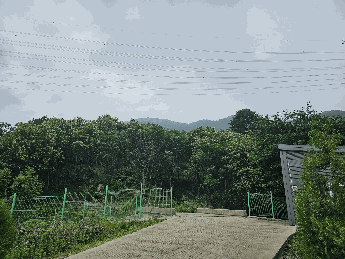 본건 전경 및 주위환경