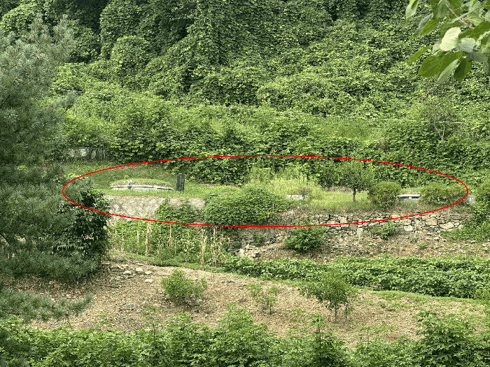 본건 전경1