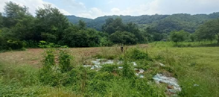 본건 토지 전경