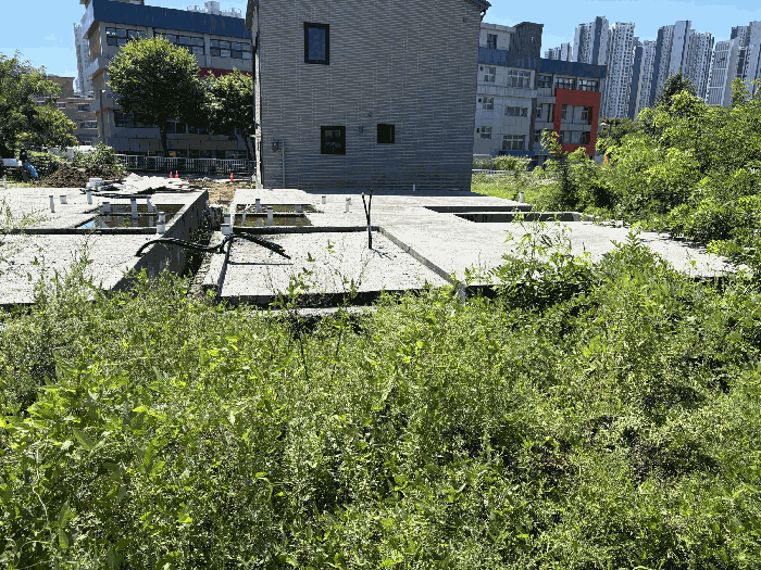 본건 토지 전경2