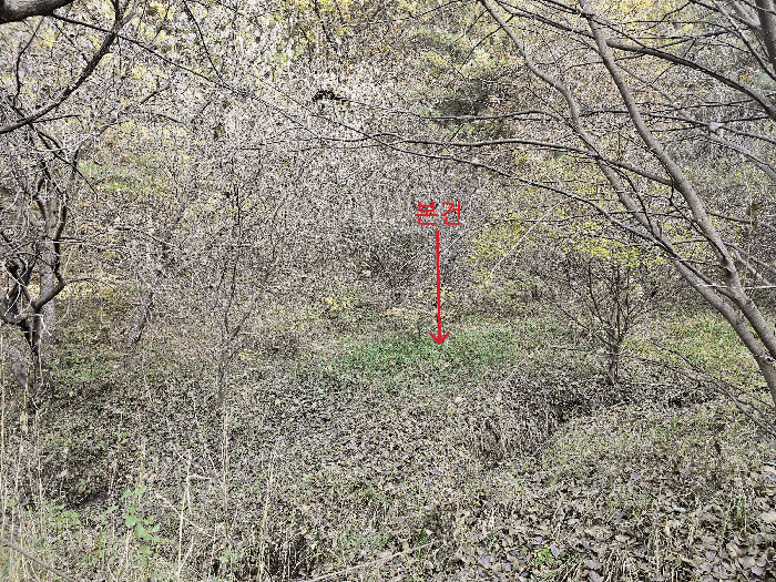 전경 1