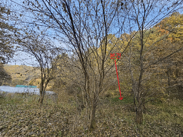 전경 3
