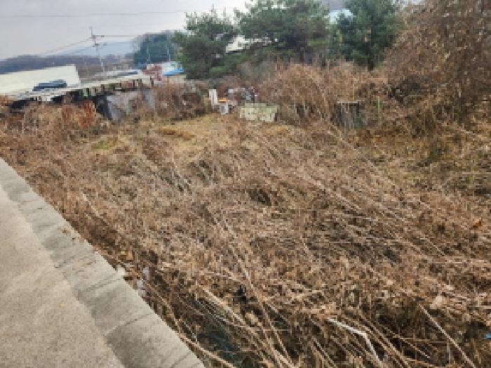 본건 전경