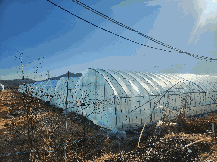 본건 전경