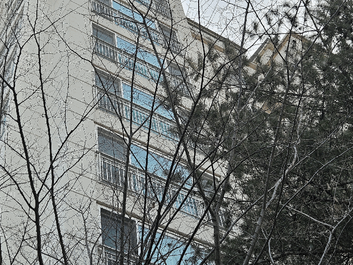 본건(9층 903호)
