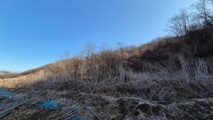 본건 부동산(목록2) 전경8