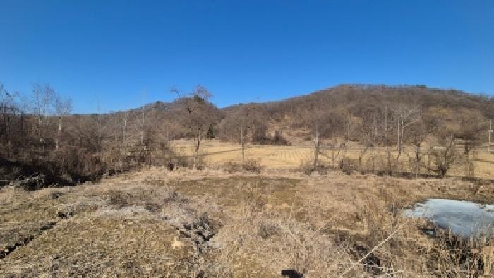 본건 부동산(목록3) 전경10