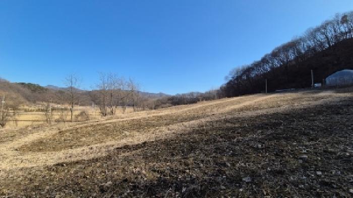 본건 부동산(목록3) 전경11