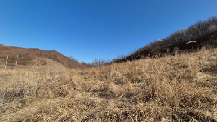 본건 부동산(목록1) 전경2