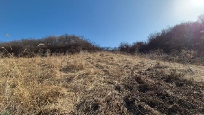 본건 부동산(목록1) 전경3