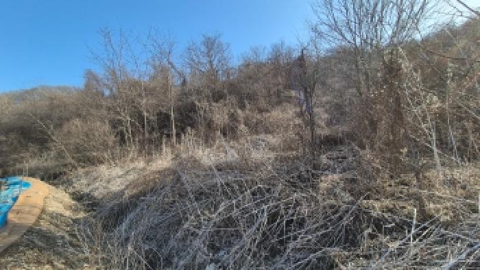 본건 부동산(목록2) 전경5