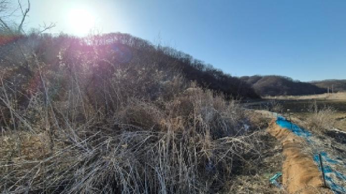 본건 부동산(목록2) 전경6