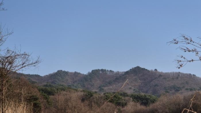 본건 부동산 전경10