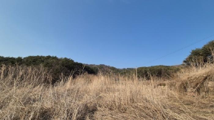 본건 부동산 전경2