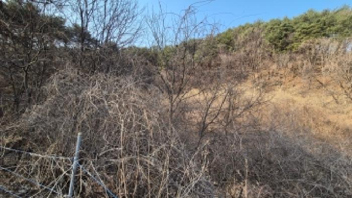 본건 부동산 전경3