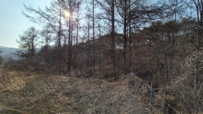 본건 부동산 전경4