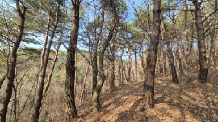 본건 부동산 전경5