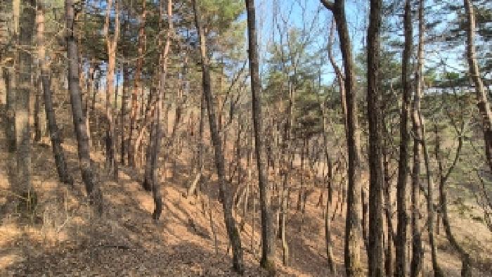 본건 부동산 전경7