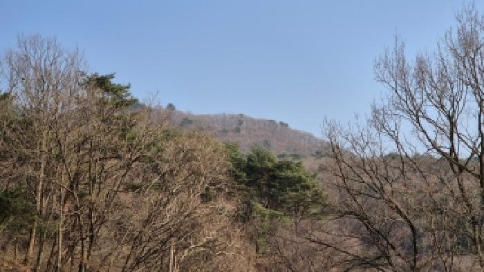 본건 부동산 전경9