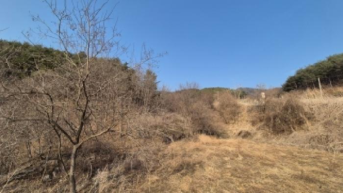 본건 부동산 전경1