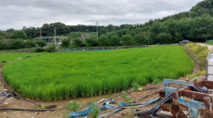 2022타경2731[5]