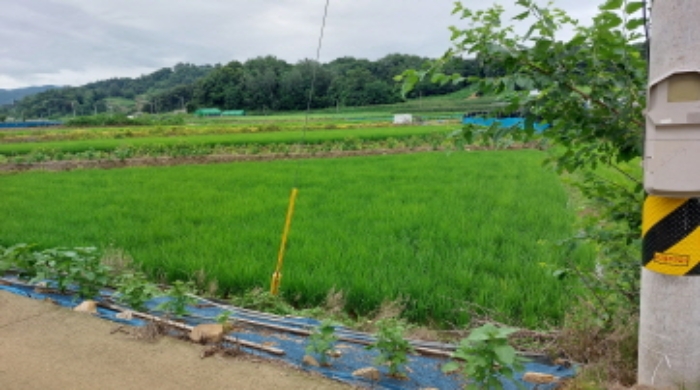 2022타경2731[5]