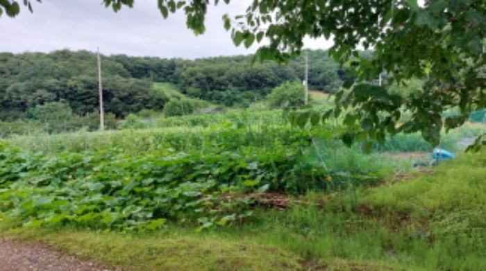 2022타경2731[5]