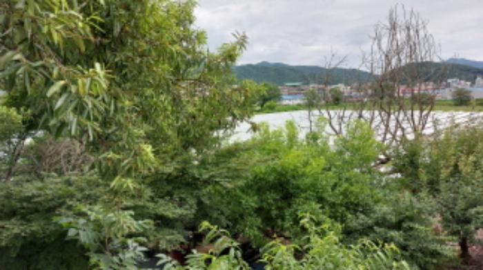 2022타경2731[5]