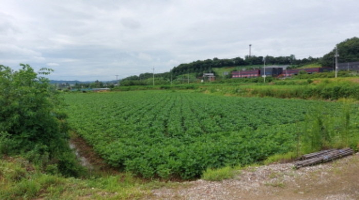 2022타경2731[5]