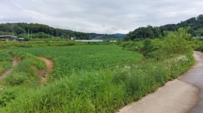 2022타경2731[5]