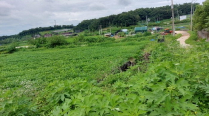 2022타경2731[5]
