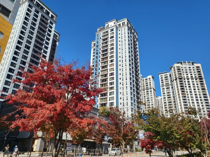 2022타경71942