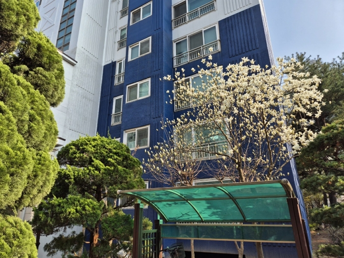 본건후면