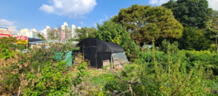 목록 1 토지상 제시외 닭장 전경