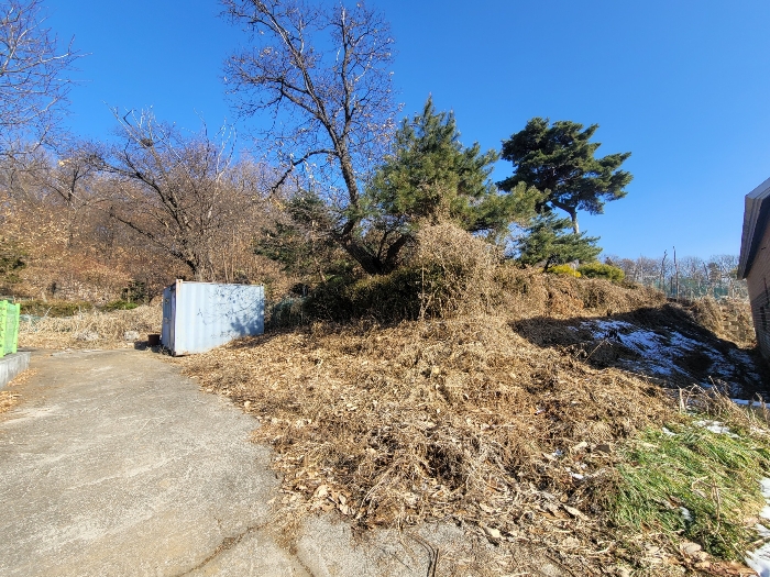 본건5