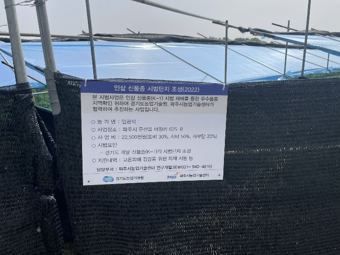 인삼 신품종 시범단지