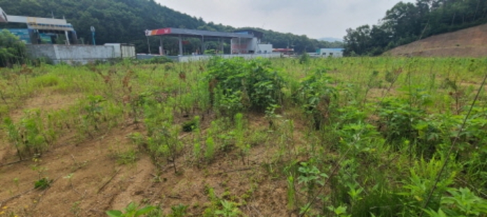 목록 10 토지 전경