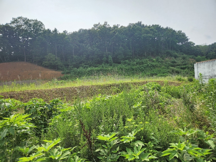 본건 전경-2