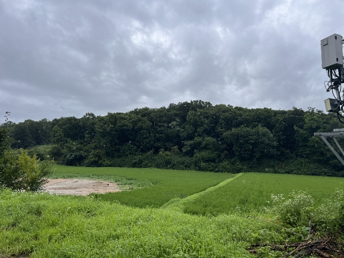 기호 1, 3 전경