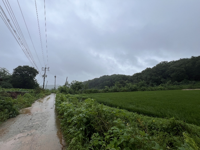 주변 환경