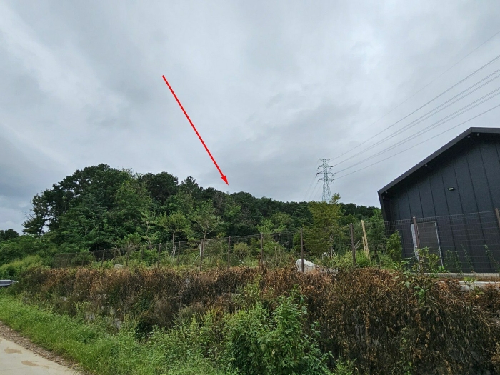 대상물건 전경