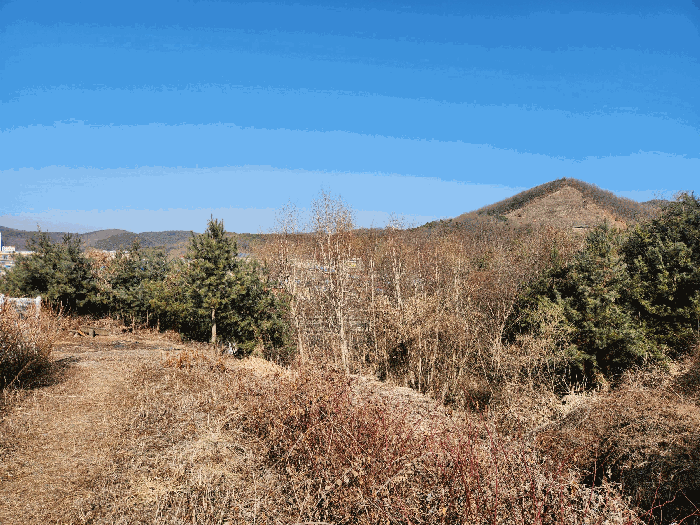 본건 기호(2) 남측 부분