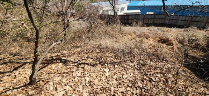 본건 토지 전경(3)