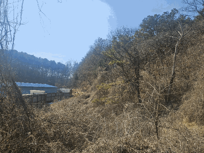 본건 전경