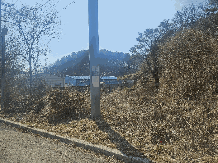 본건 전경