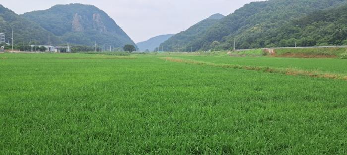 토지 전경(2)