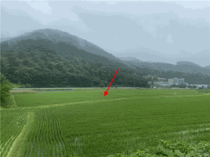 본건
