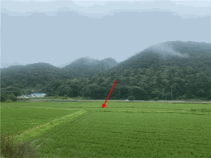 본건