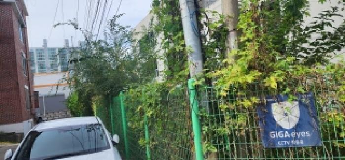 본건 주변 울타리